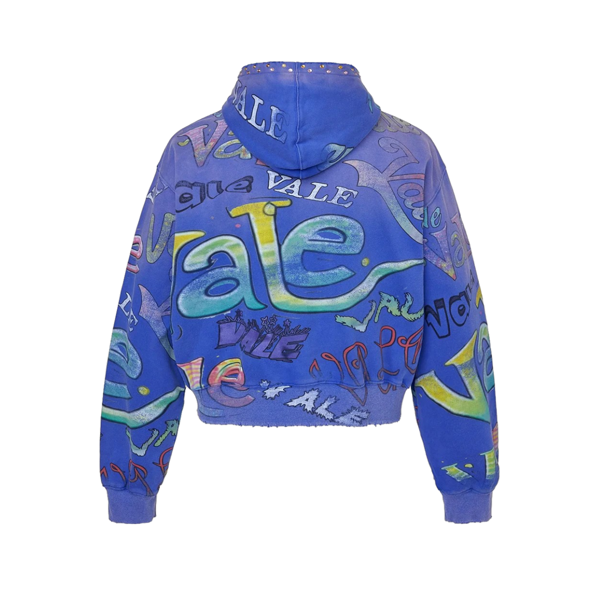 Polerón Vale Forever Iceberg Zip up